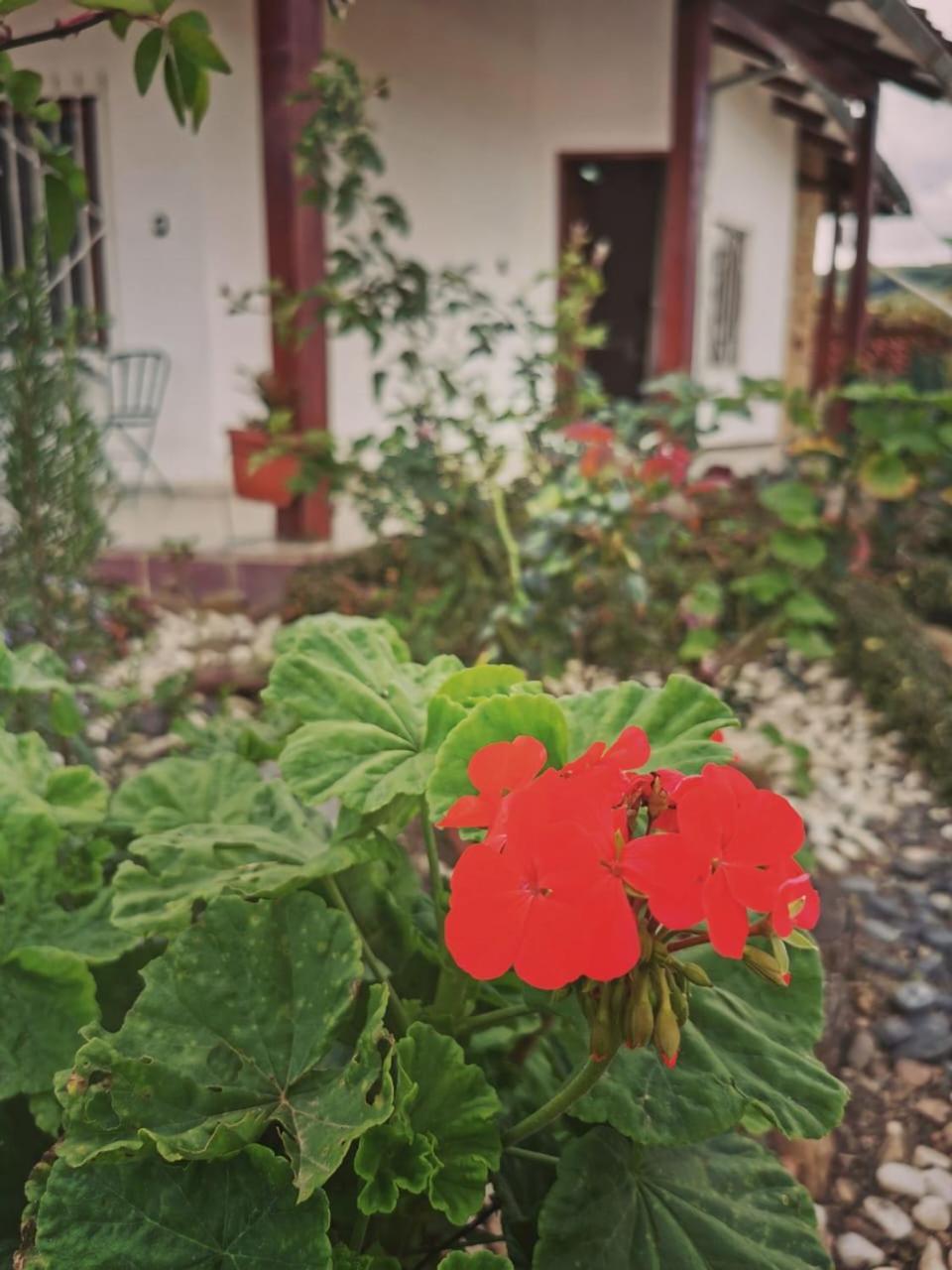 La Cabaña - Samaipata Exterior foto